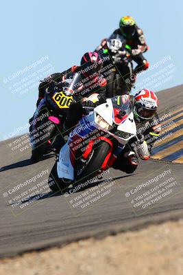 media/Feb-12-2022-SoCal Trackdays (Sat) [[3b21b94a56]]/Turn 12 (140pm)/